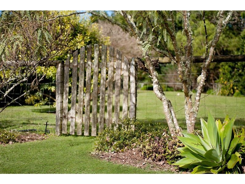 15 Shirley Street, Ourimbah NSW 2258