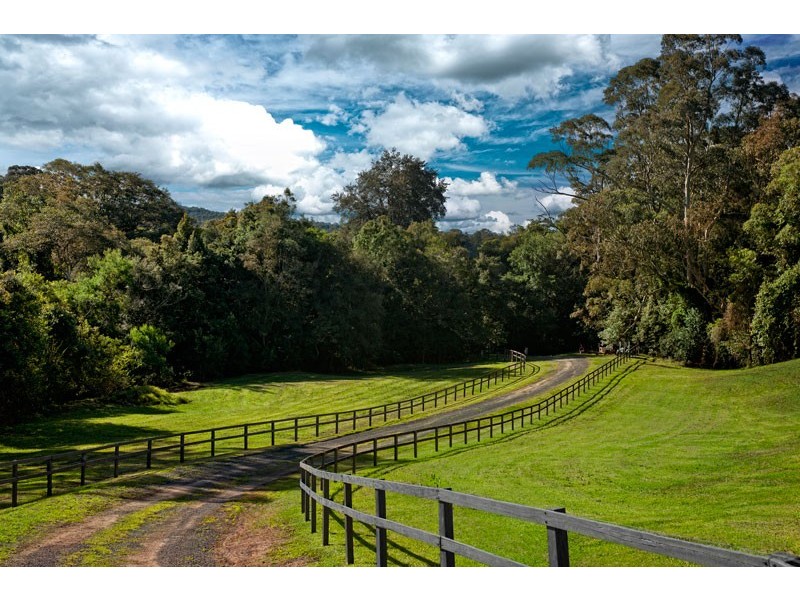 253 Yarramalong Road, Yarramalong NSW 2259