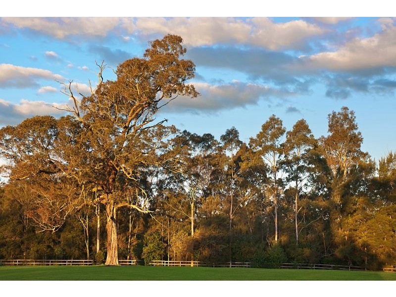 253 Yarramalong Road, Yarramalong NSW 2259