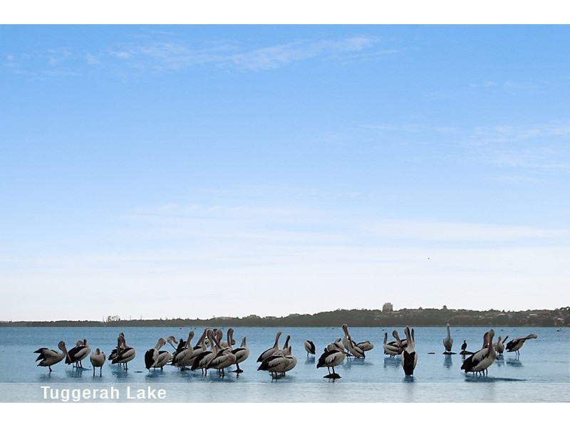 197 Wyong Road, Killarney Vale NSW 2261