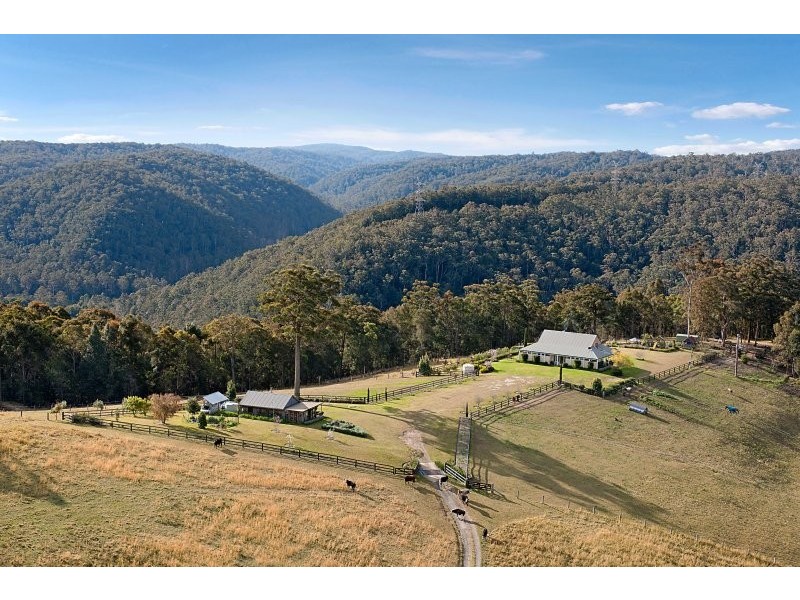 478 Brush Creek Road, Cedar Brush Creek NSW 2259