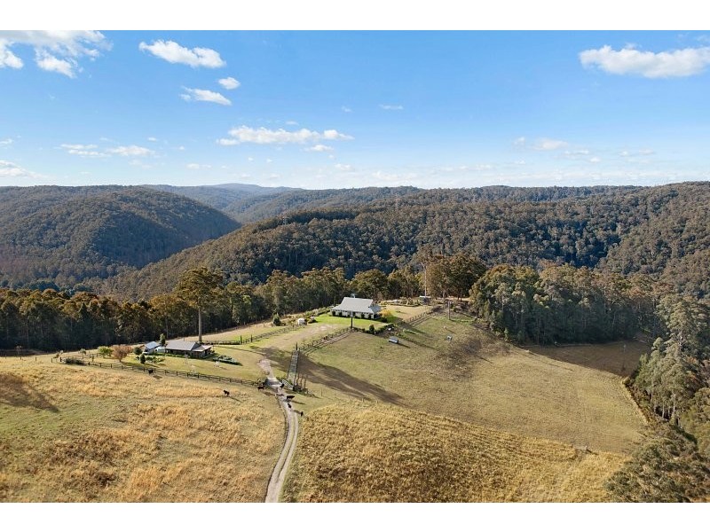 478 Brush Creek Road, Cedar Brush Creek NSW 2259
