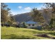 79 Pringles Road, Martinsville NSW 2265
