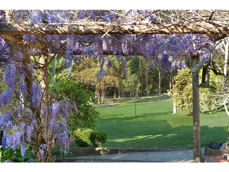 79 Pringles Road, Martinsville NSW 2265