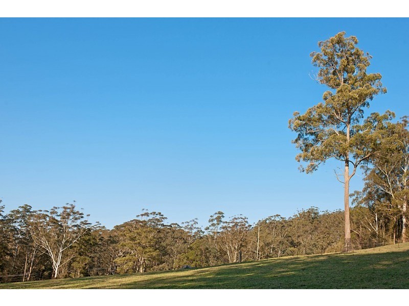 79 Pringles Road, Martinsville NSW 2265