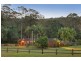 260 Glenning Road, Glenning Valley NSW 2261
