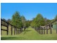 19 Davenport Lane, Jilliby NSW 2259