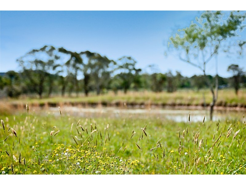 214 Yarramalong Road, Wyong Creek NSW 2259