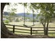 50 Lauffs Lane, Wyong Creek NSW 2259