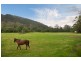 188 Little Jilliby Road, Jilliby NSW 2259