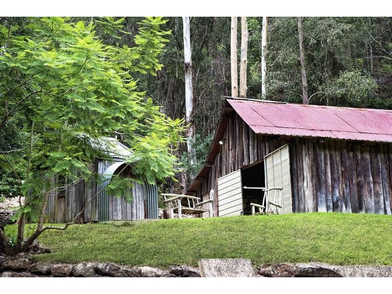 899 Brush Creek Road, Cedar Brush Creek NSW 2259