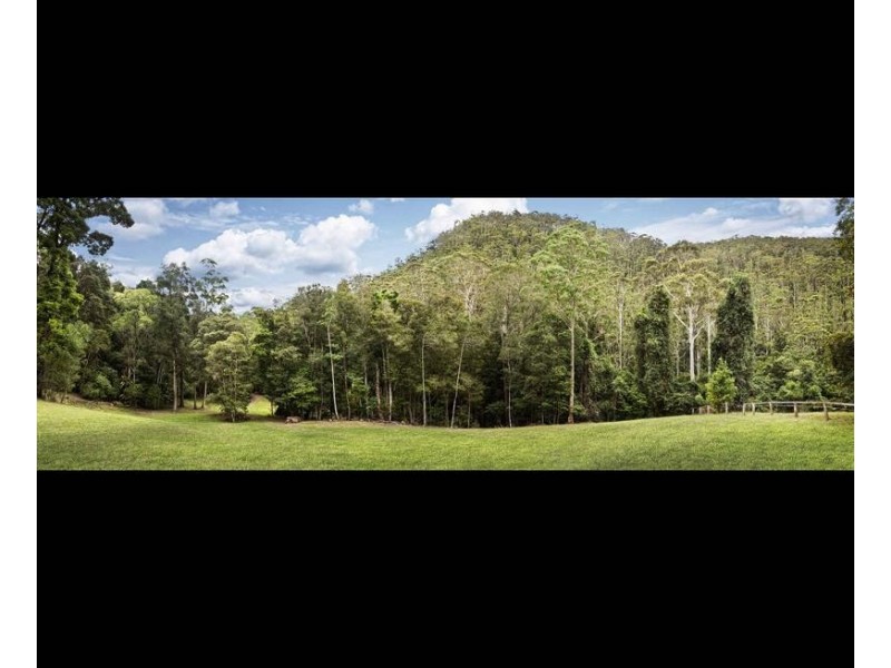 899 Brush Creek Road, Cedar Brush Creek NSW 2259