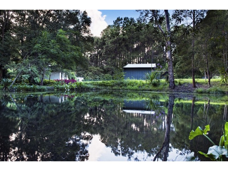 457 Martinsville Road, Martinsville NSW 2265