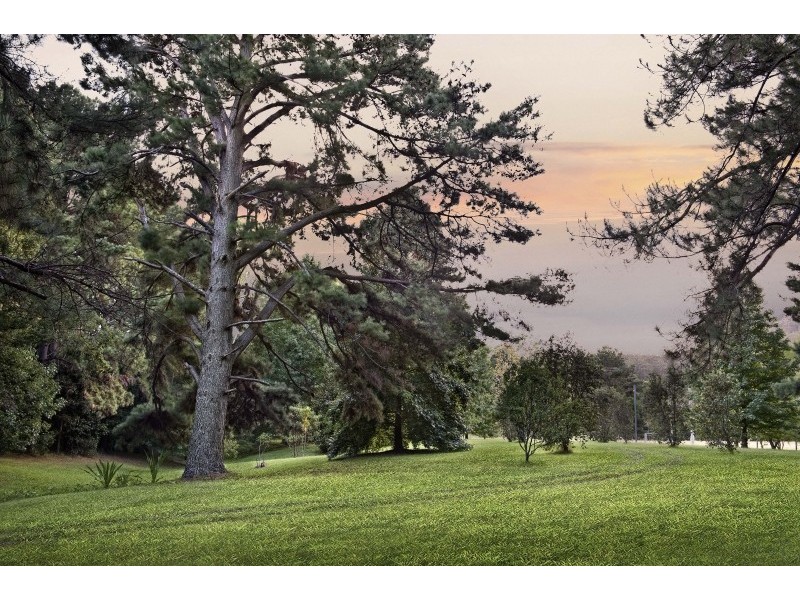 457 Martinsville Road, Martinsville NSW 2265