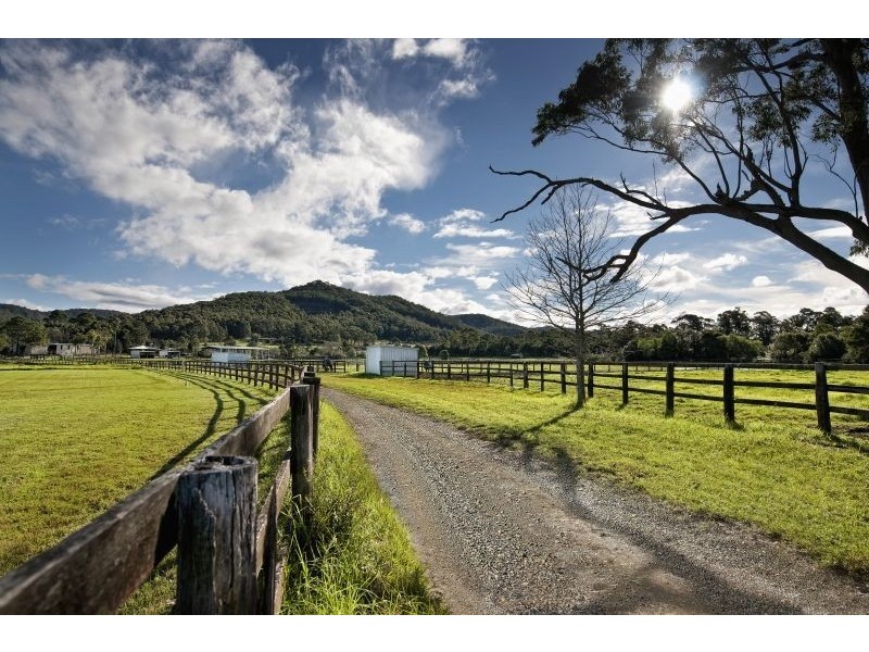 495 Jilliby Road, Jilliby NSW 2259