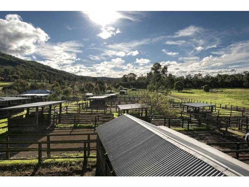495 Jilliby Road, Jilliby NSW 2259