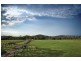 495 Jilliby Road, Jilliby NSW 2259