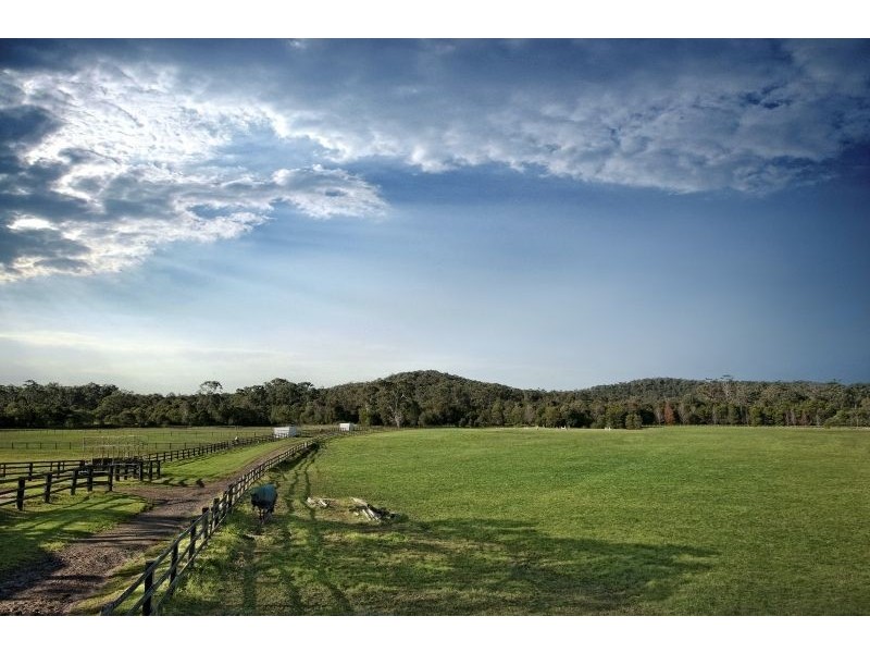 495 Jilliby Road, Jilliby NSW 2259