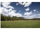 495 Jilliby Road, Jilliby NSW 2259