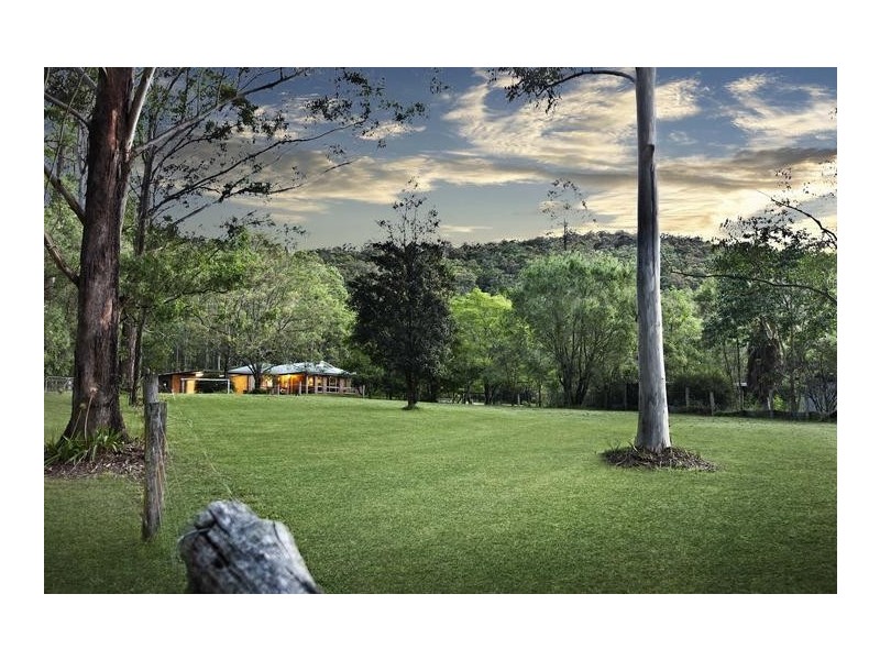 81 Wilkinson Road, Martinsville NSW 2265