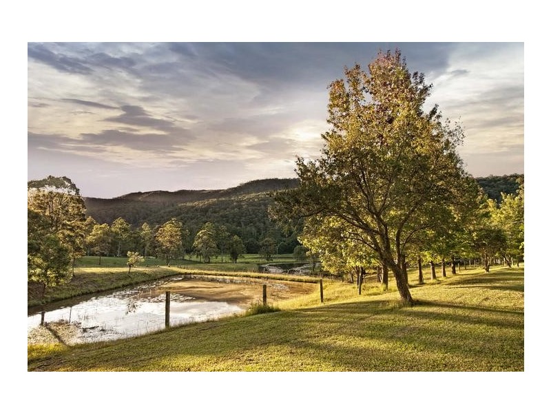 81 Wilkinson Road, Martinsville NSW 2265