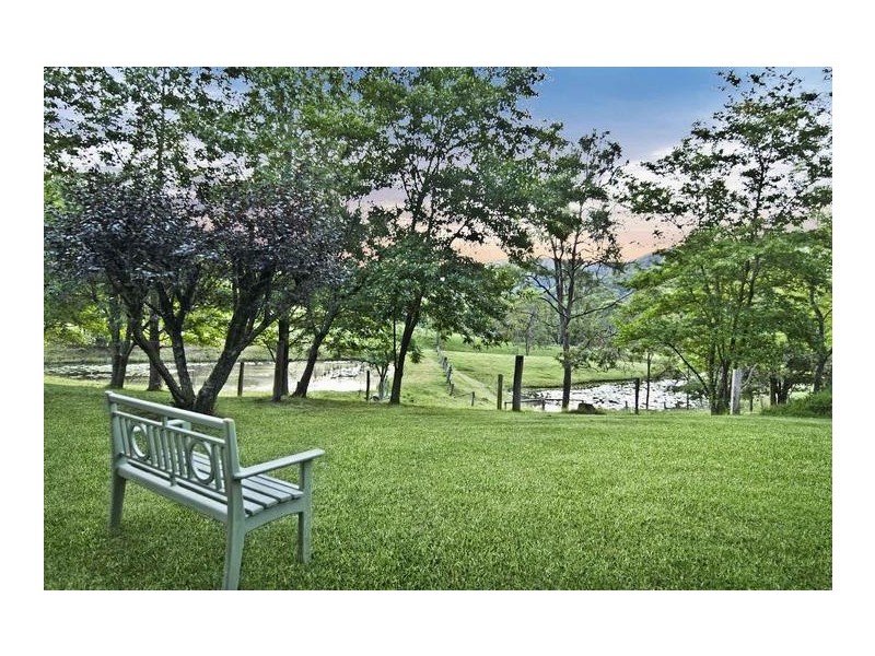 81 Wilkinson Road, Martinsville NSW 2265