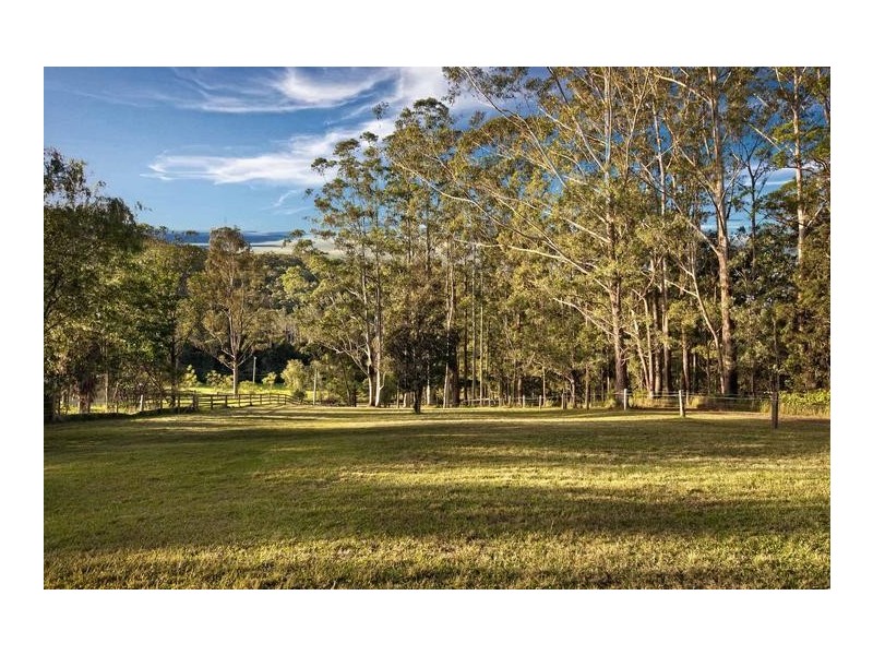 81 Wilkinson Road, Martinsville NSW 2265