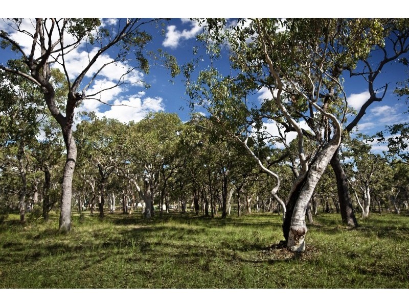 4 Bonny Boy Way, Gwandalan NSW 2259