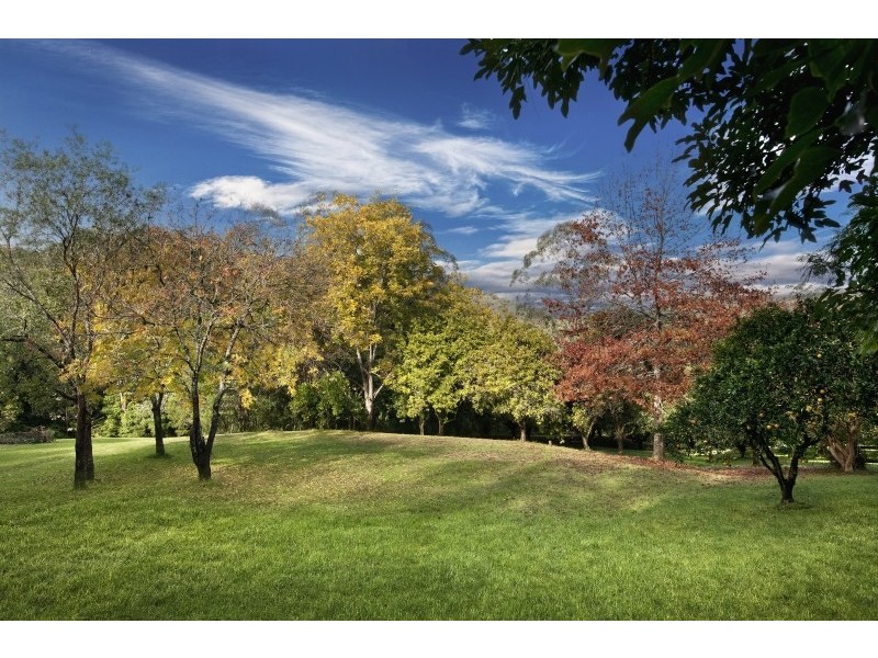 34 Macadamia Lane, Wyong Creek NSW 2259