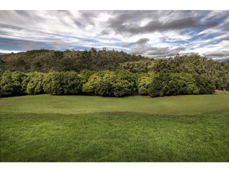 34 Macadamia Lane, Wyong Creek NSW 2259