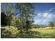 Lot 20,73 & 1, L20,73,1 Yarramalong Road, Wyong Creek NSW 2259