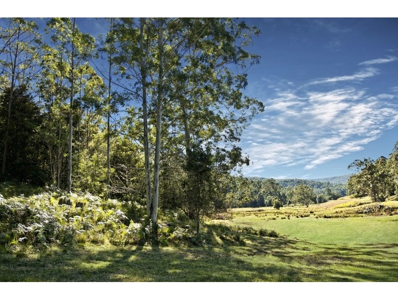 Lot 20,73 & 1, L20,73,1 Yarramalong Road, Wyong Creek NSW 2259