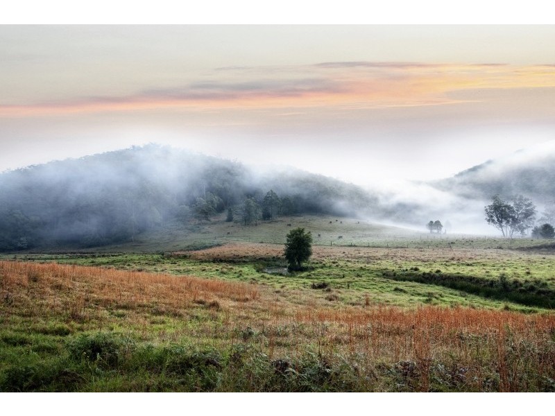 Lot 20,73 & 1, L20,73,1 Yarramalong Road, Wyong Creek NSW 2259