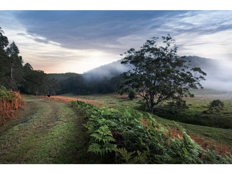 Lot 20,73 & 1, L20,73,1 Yarramalong Road, Wyong Creek NSW 2259