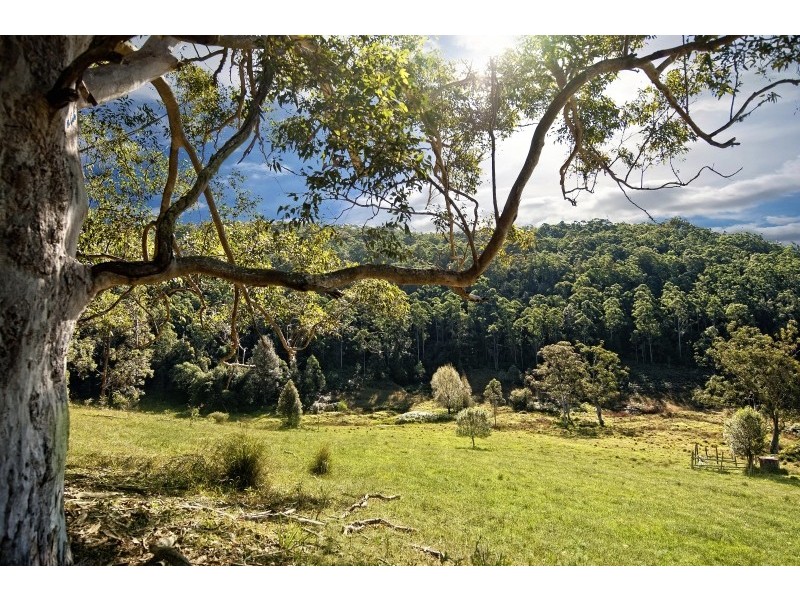 Lot 20,73 & 1, L20,73,1 Yarramalong Road, Wyong Creek NSW 2259