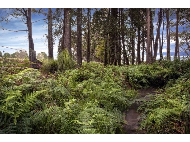 1380 George Downes Drive, Kulnura NSW 2250