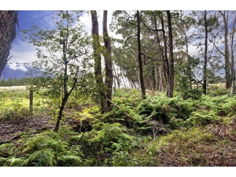 1380 George Downes Drive, Kulnura NSW 2250