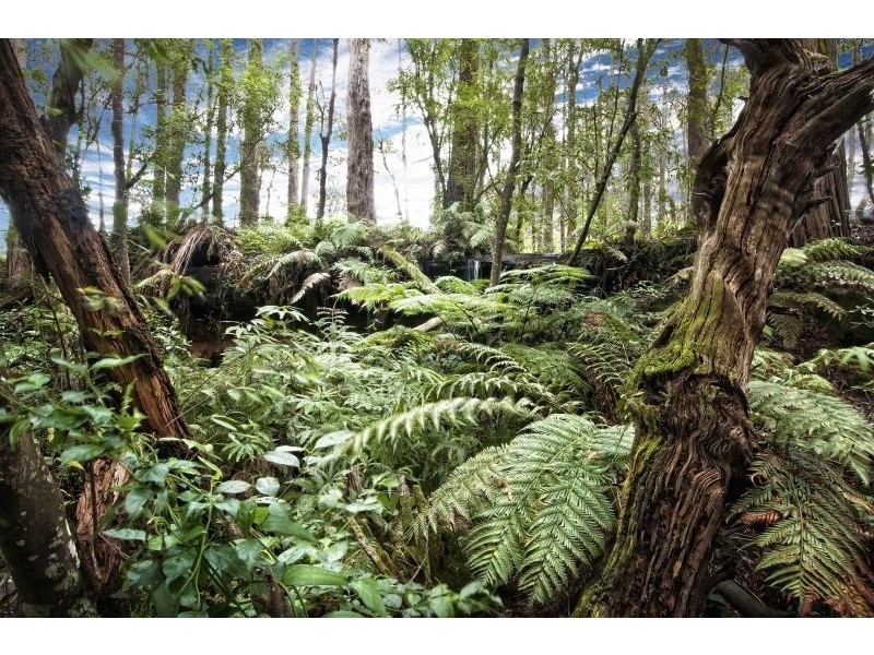 1380 George Downes Drive, Kulnura NSW 2250