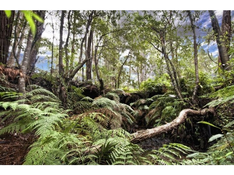 1380 George Downes Drive, Kulnura NSW 2250