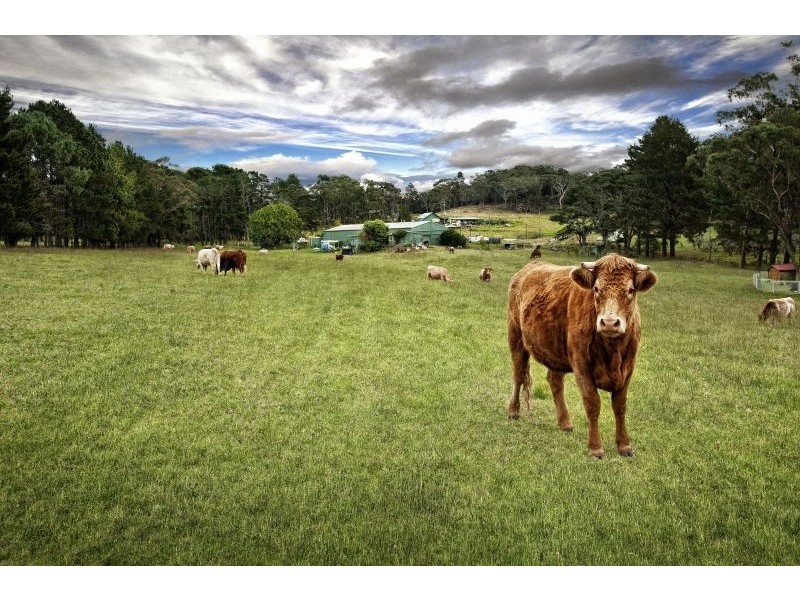 1380 George Downes Drive, Kulnura NSW 2250