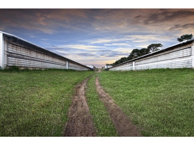 315 Greta Road, Kulnura NSW 2250