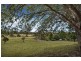 336 Yarramalong Road, Wyong Creek NSW 2259