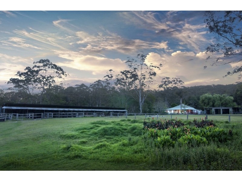 67 Wattle Tree Road, Holgate NSW 2250