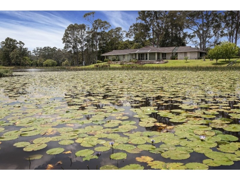 1089 Dooralong Road, Dooralong NSW 2259