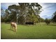 164 Woods Road, Jilliby NSW 2259