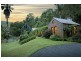 594 Brush Creek Road, Cedar Brush Creek NSW 2259