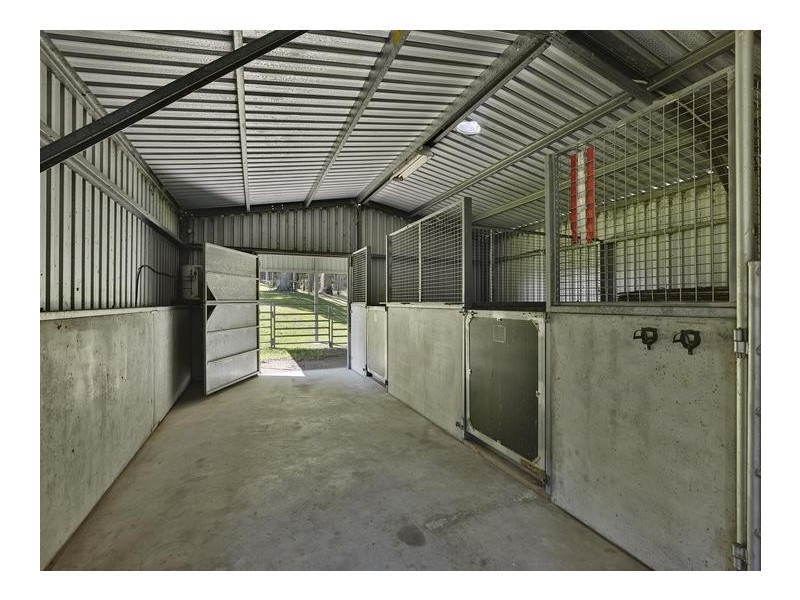 175 Pringles Road, Martinsville NSW 2265