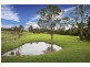 36 Phil Tunks Road, Dooralong NSW 2259