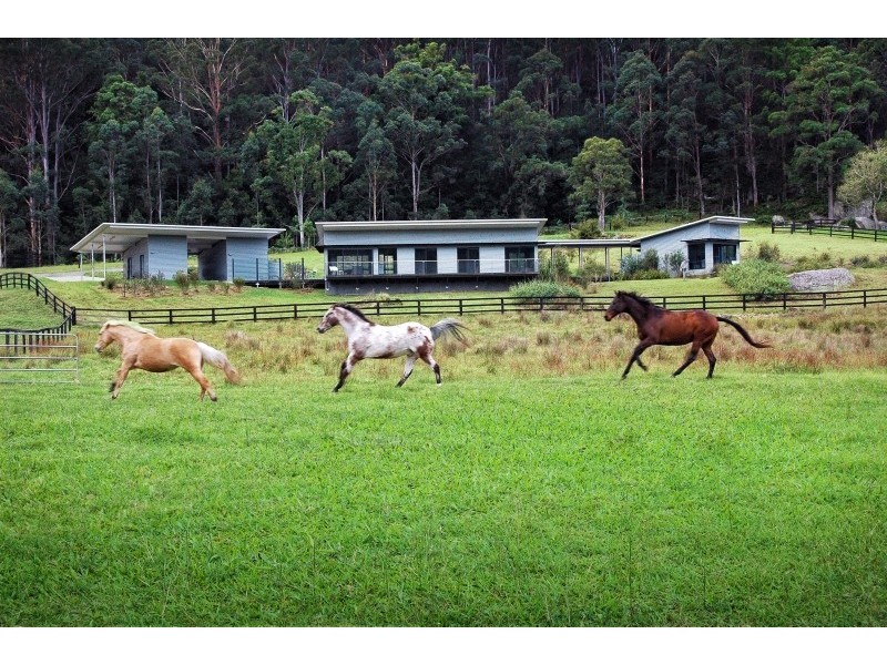 277 Ravensdale Road, Ravensdale NSW 2259