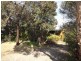 Cape Paterson VIC 3995